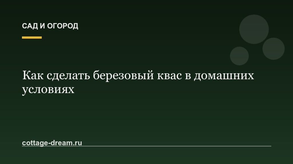 Как сделать березовый квас в домашних условиях