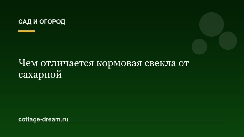 Чем отличается кормовая свекла от сахарной