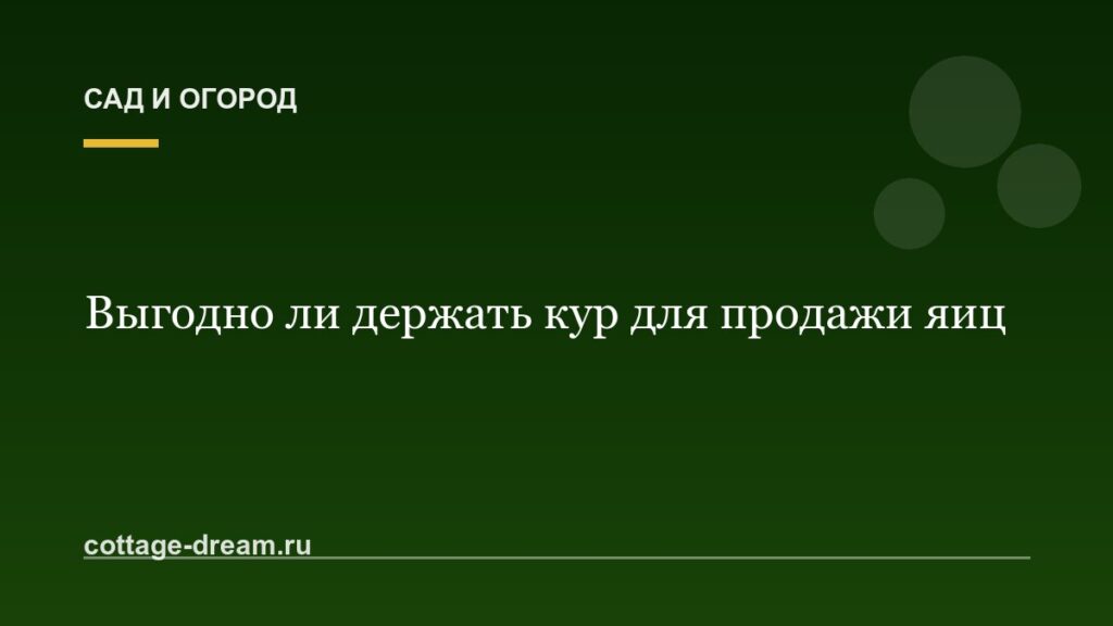 Выгодно ли держать кур для продажи яиц