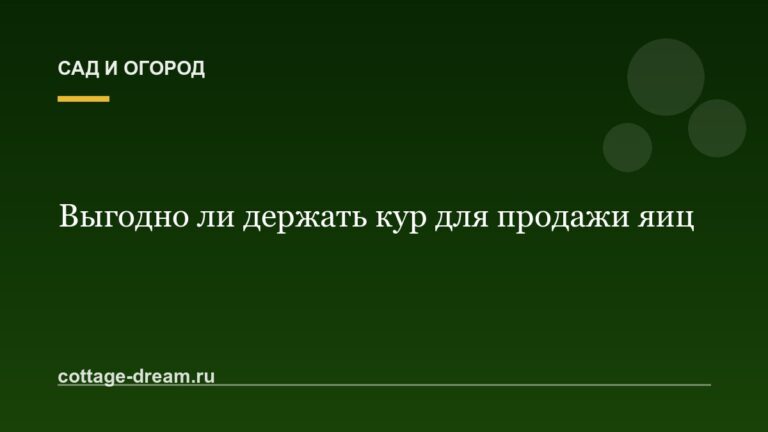 Выгодно ли держать кур для продажи яиц