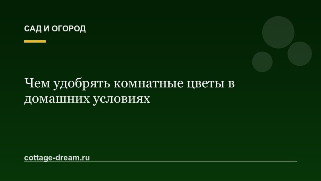 Чем удобрять комнатные цветы в домашних условиях