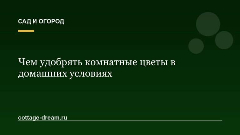 Чем удобрять комнатные цветы в домашних условиях