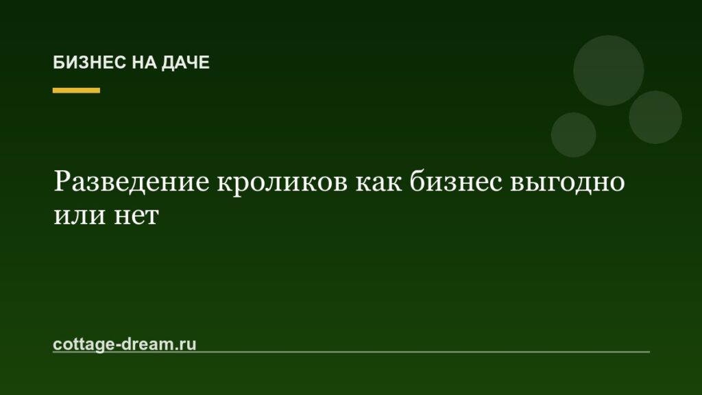Разведение кроликов как бизнес выгодно или нет