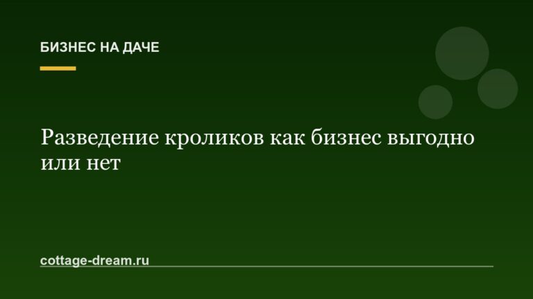 Разведение кроликов как бизнес выгодно или нет