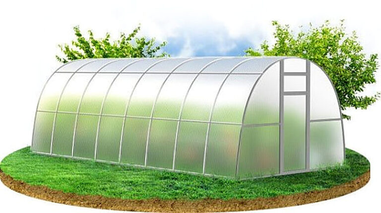 Как подготовить теплицу к посадке весной