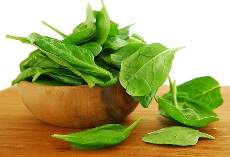 Шпинат выращивание из семян в домашних условиях