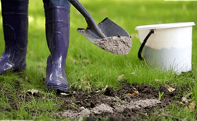 Зола как правильно использовать на огороде