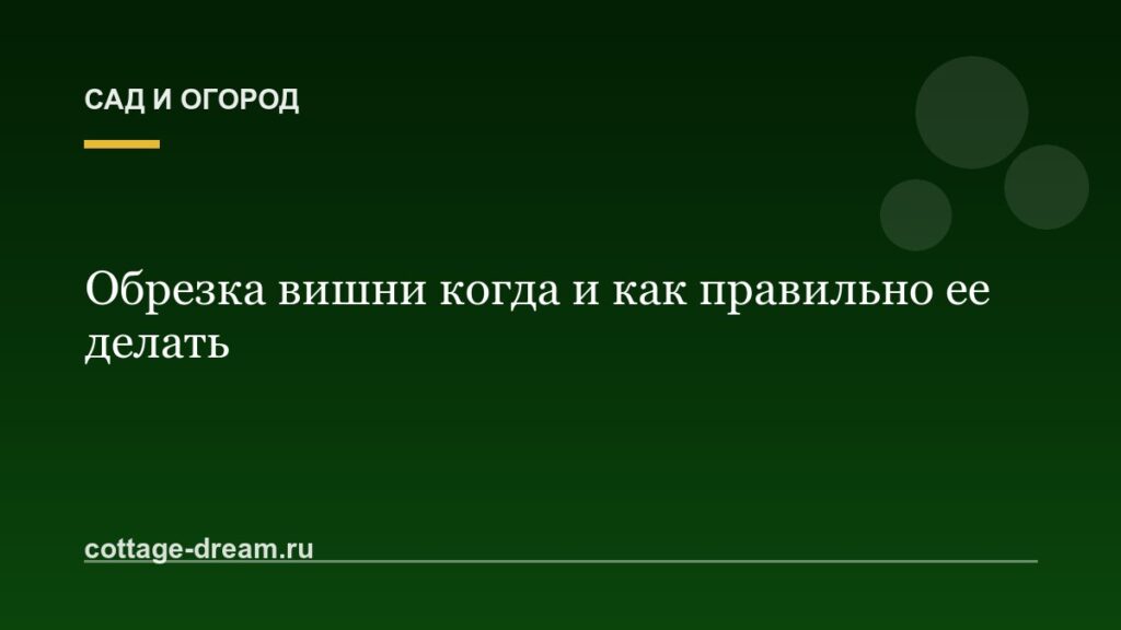 Обрезка вишни когда и как правильно ее делать