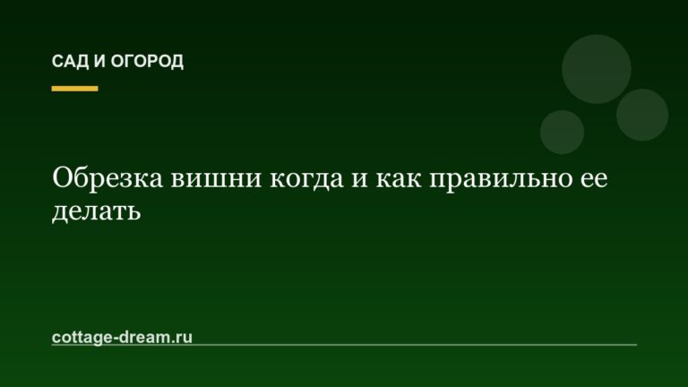 Обрезка вишни когда и как правильно ее делать