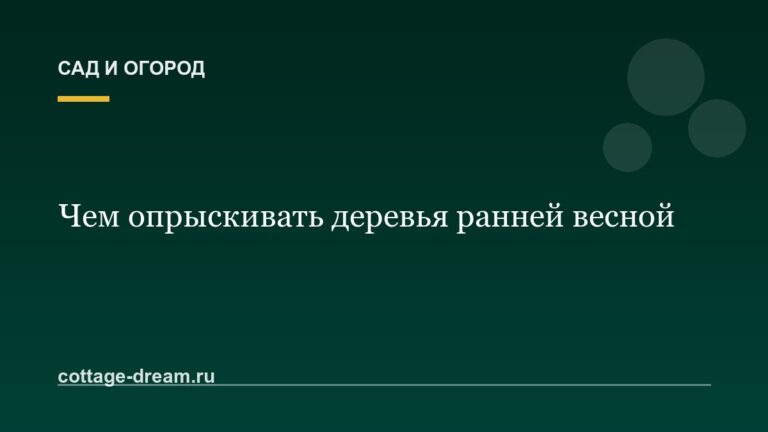Чем опрыскивать деревья ранней весной