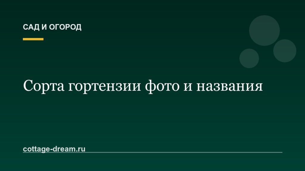 Сорта гортензии фото и названия