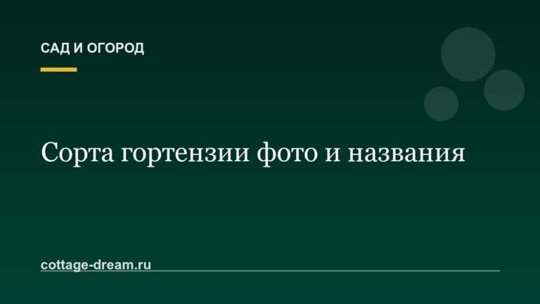 Сорта гортензии фото и названия