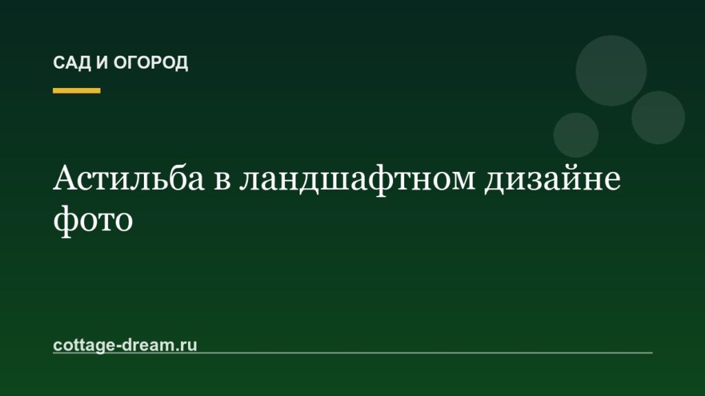Астильба в ландшафтном дизайне фото