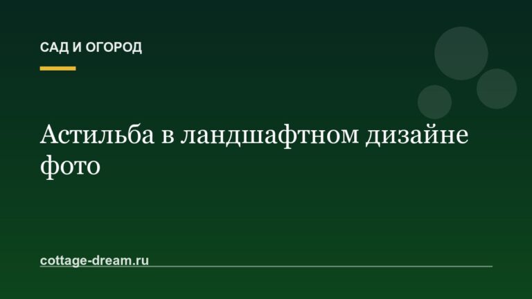 Астильба в ландшафтном дизайне фото
