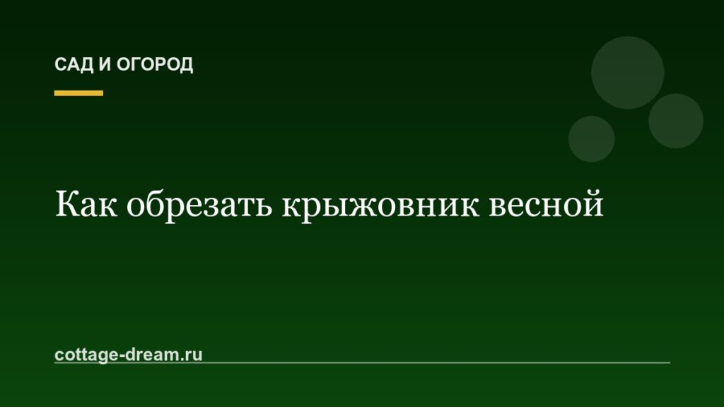 Как обрезать крыжовник весной