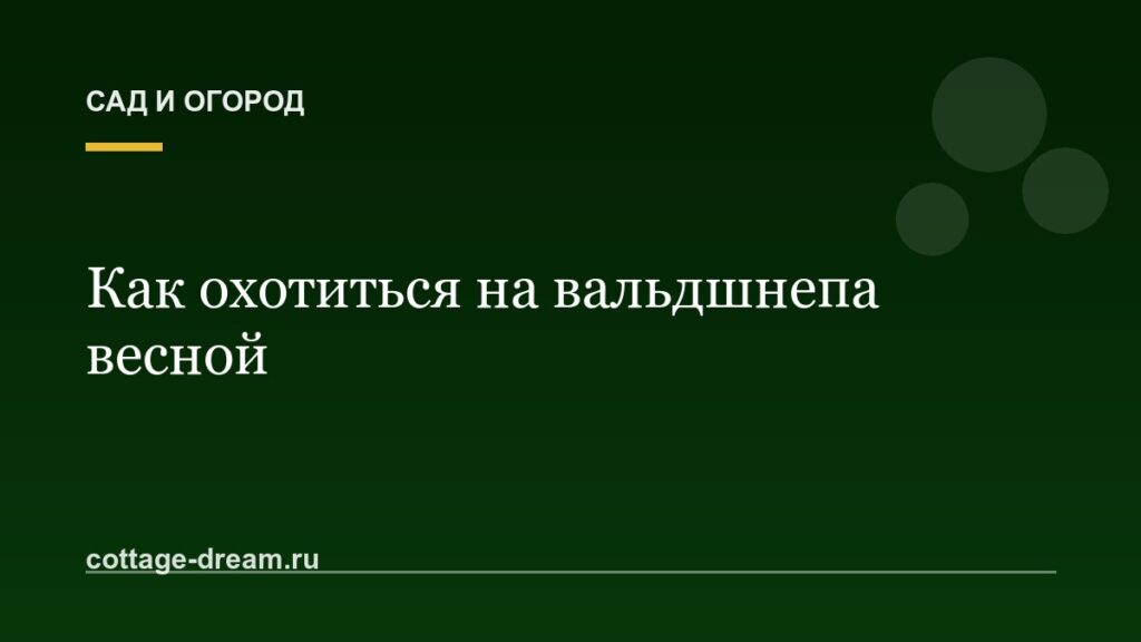 Как охотиться на вальдшнепа весной