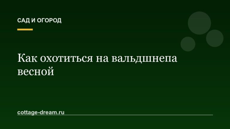 Как охотиться на вальдшнепа весной