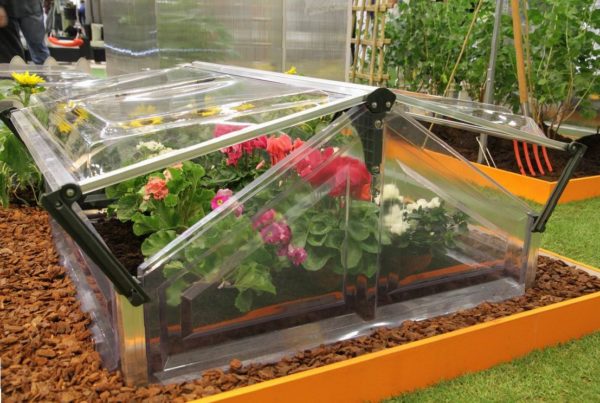 Минипарник для рассады преимущества