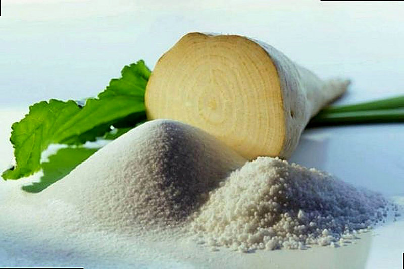 Свекла для производства сахара