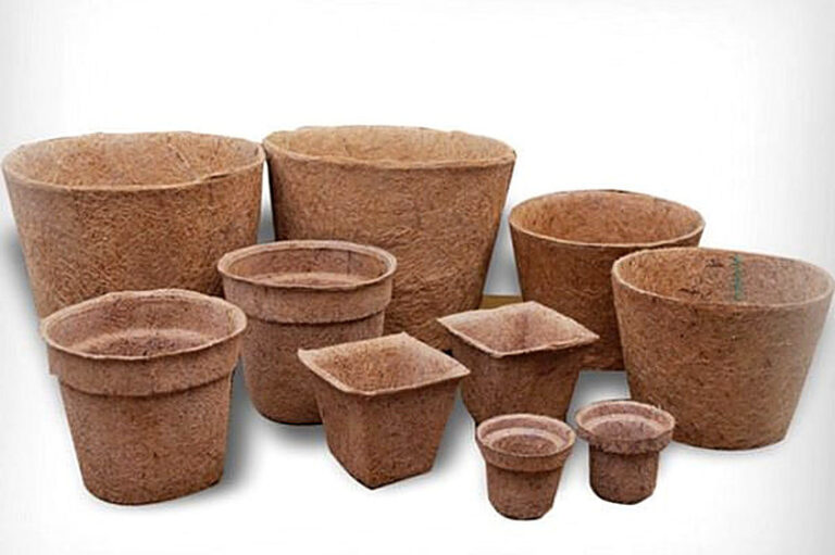 Торфяные горшочки для рассады купить