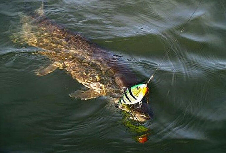 Твичинговая проводка