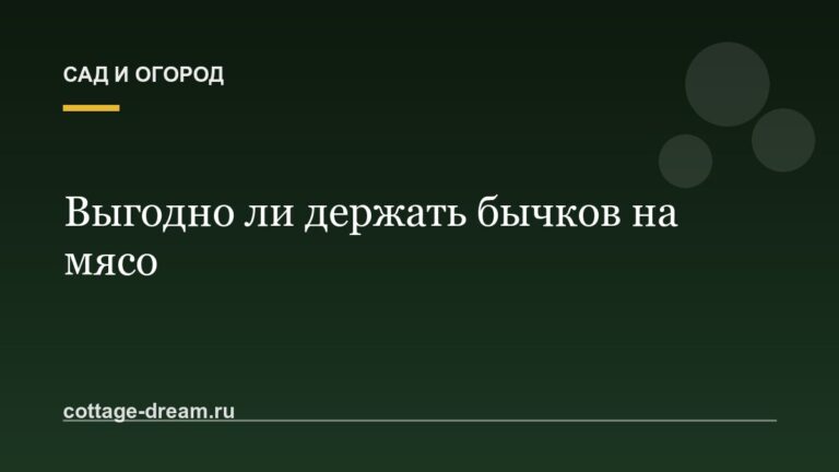 Выгодно ли держать бычков на мясо