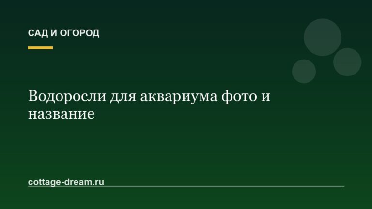 Водоросли для аквариума фото и название