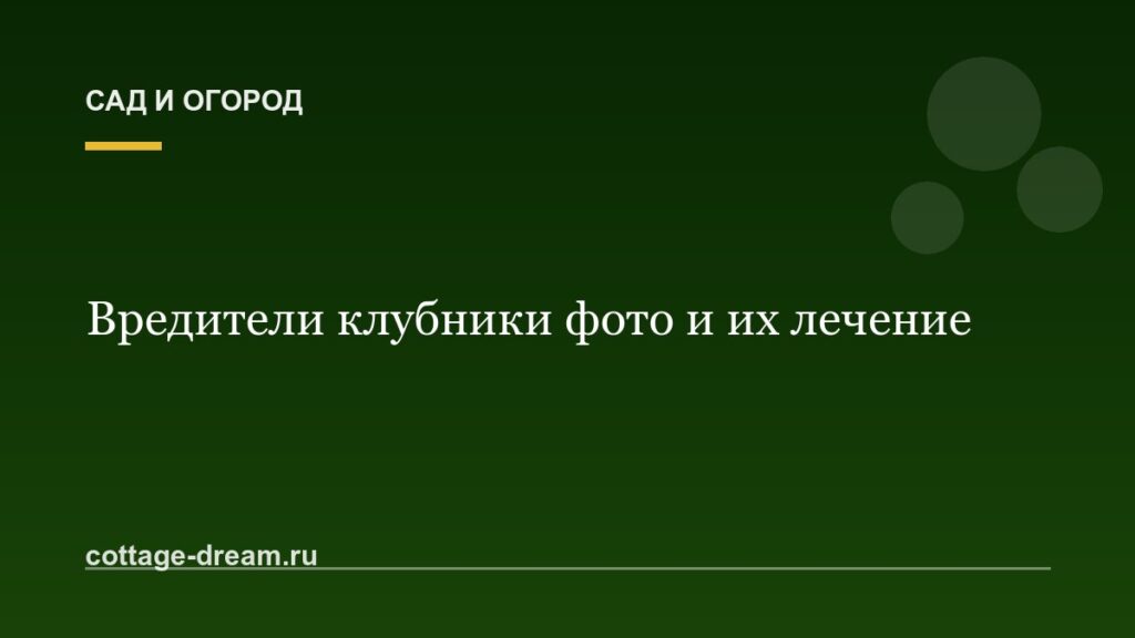 Вредители клубники фото и их лечение