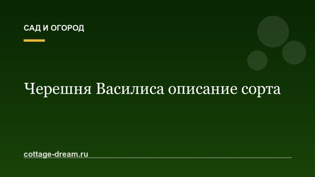 Черешня Василиса описание сорта