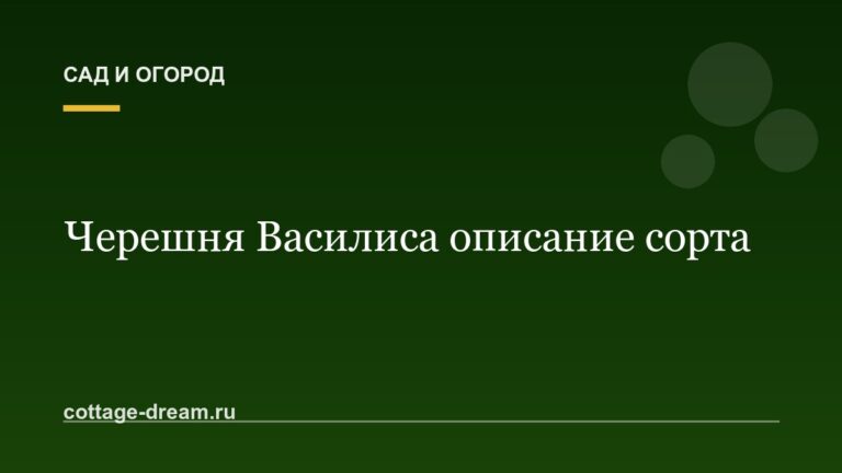 Черешня Василиса описание сорта