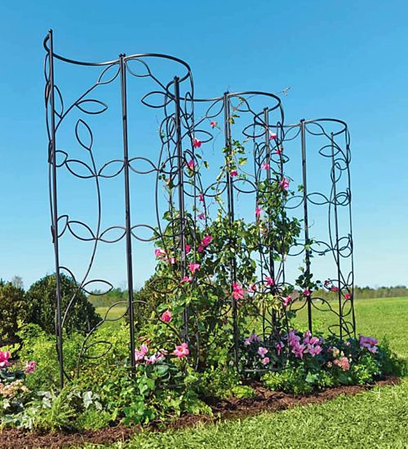 Опоры для клематисов
