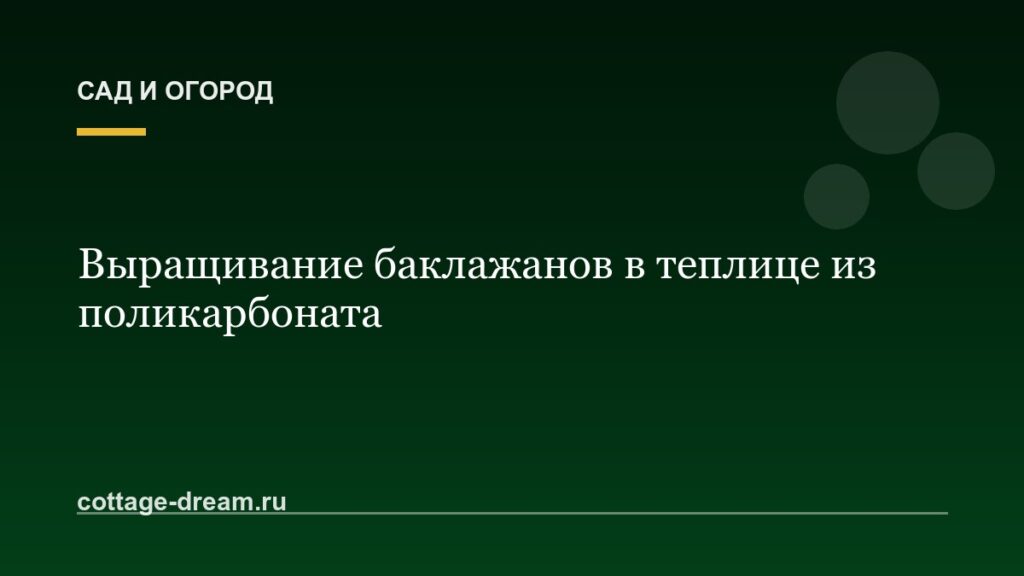 Выращивание баклажанов в теплице из поликарбоната