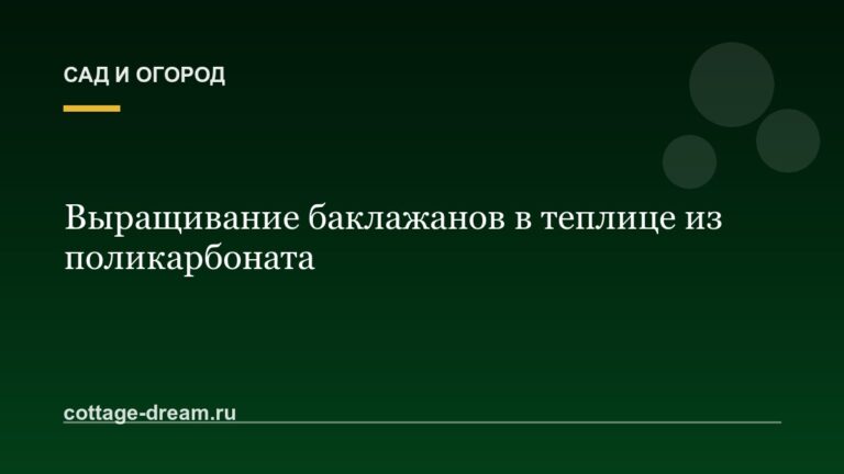 Выращивание баклажанов в теплице из поликарбоната
