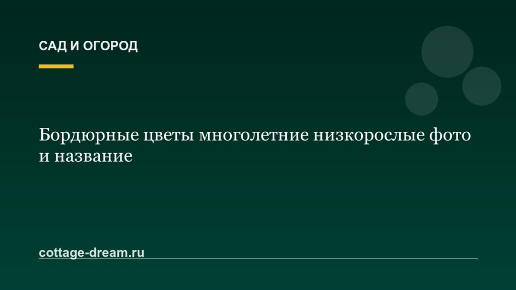 Бордюрные цветы многолетние низкорослые фото и название