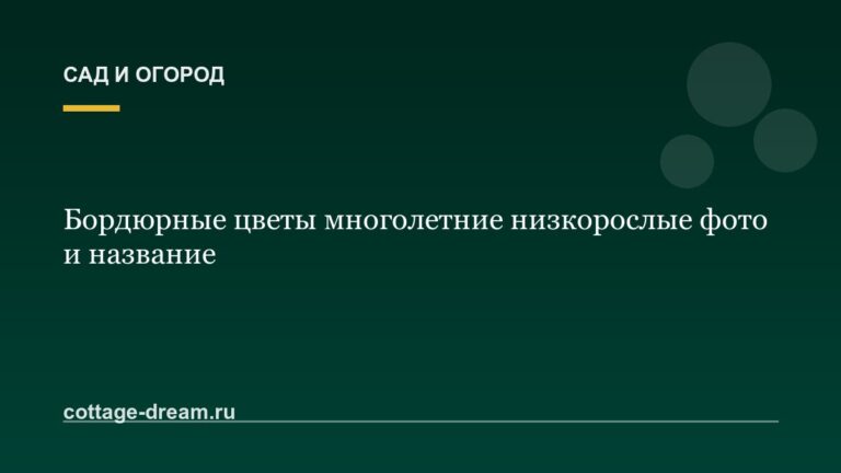Бордюрные цветы многолетние низкорослые фото и название