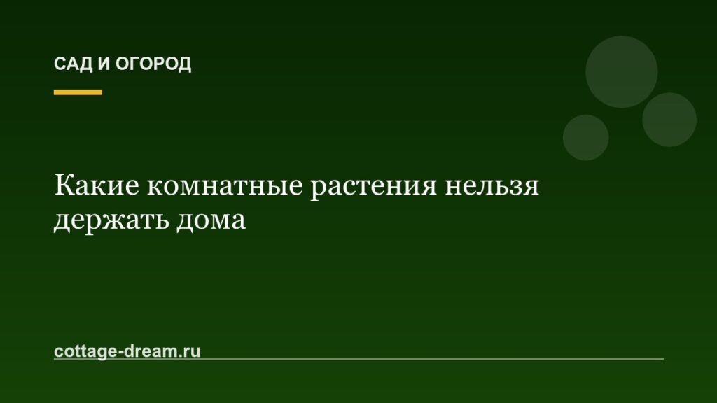 Какие комнатные растения нельзя держать дома
