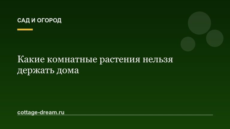 Какие комнатные растения нельзя держать дома