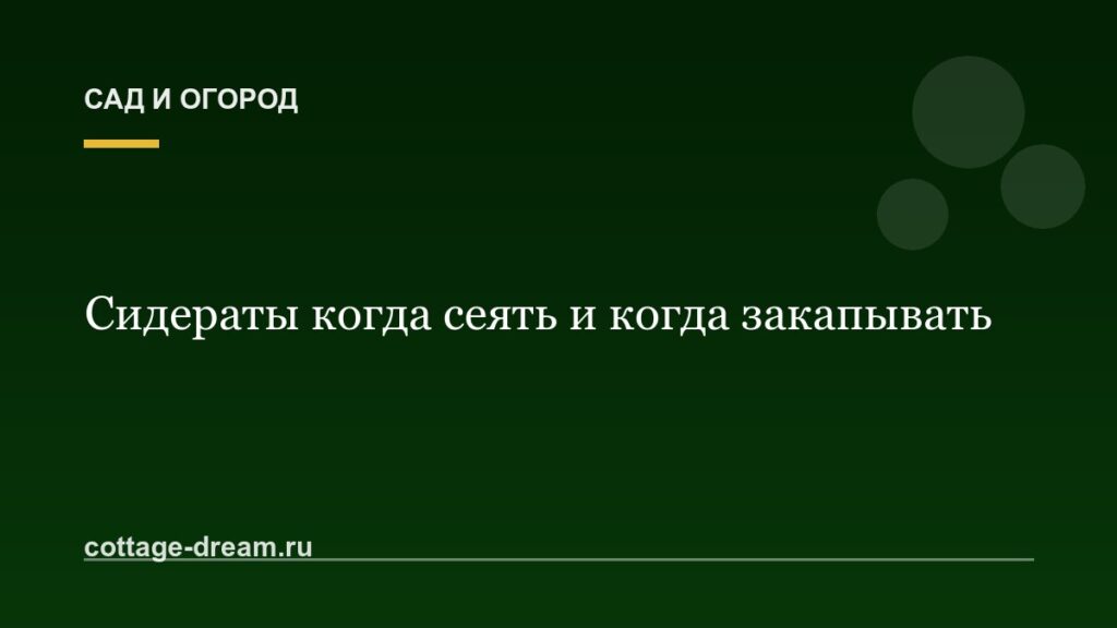 Сидераты когда сеять и когда закапывать