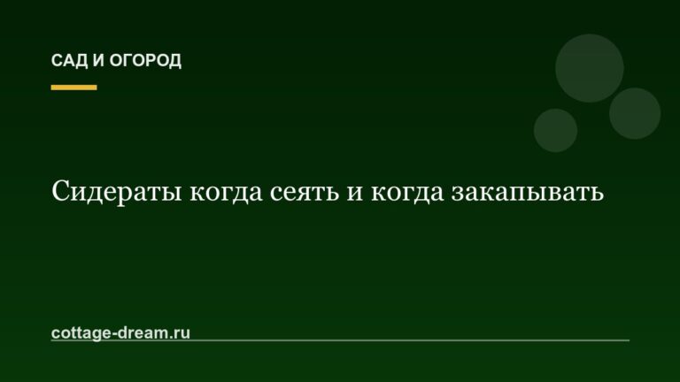 Сидераты когда сеять и когда закапывать