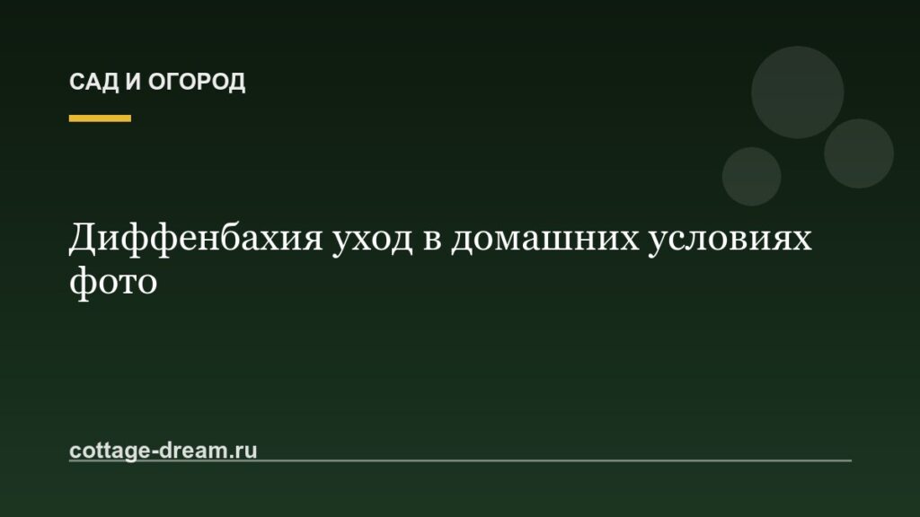 Диффенбахия уход в домашних условиях фото
