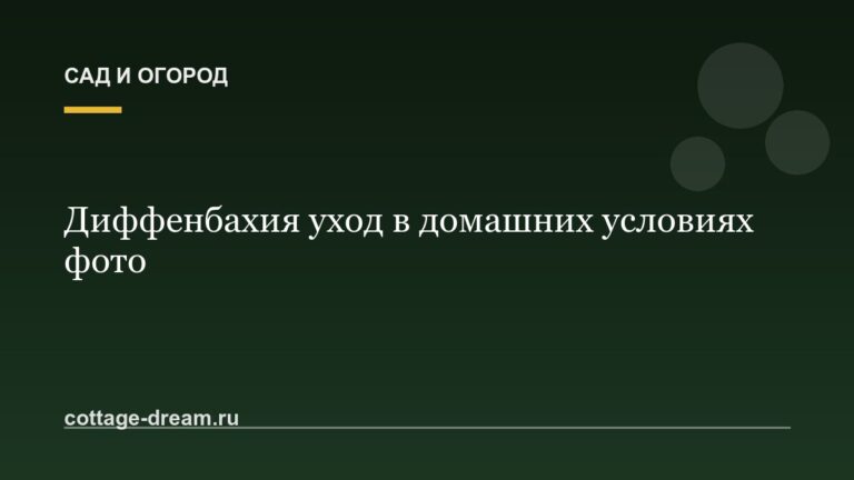 Диффенбахия уход в домашних условиях фото