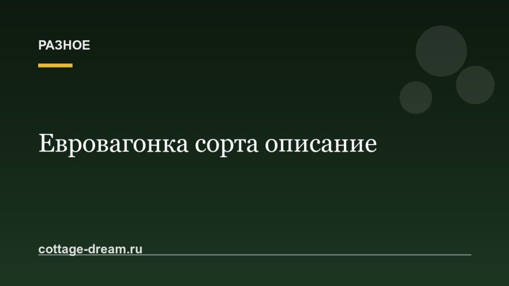 Евровагонка сорта описание