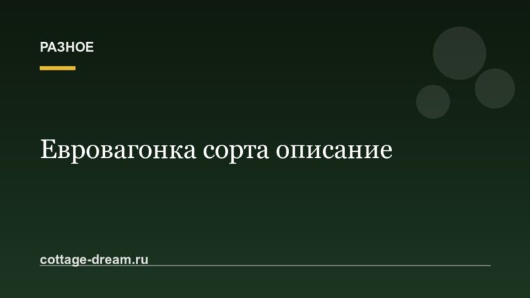 Евровагонка сорта описание