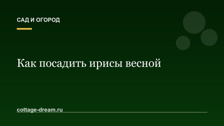 Как посадить ирисы весной