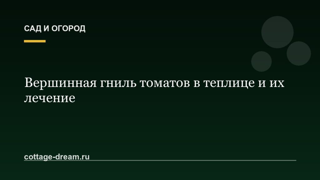 Вершинная гниль томатов в теплице и их лечение