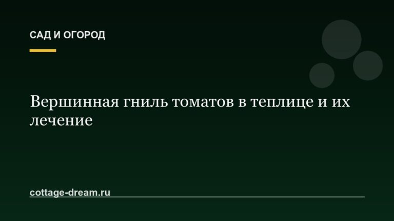 Вершинная гниль томатов в теплице и их лечение