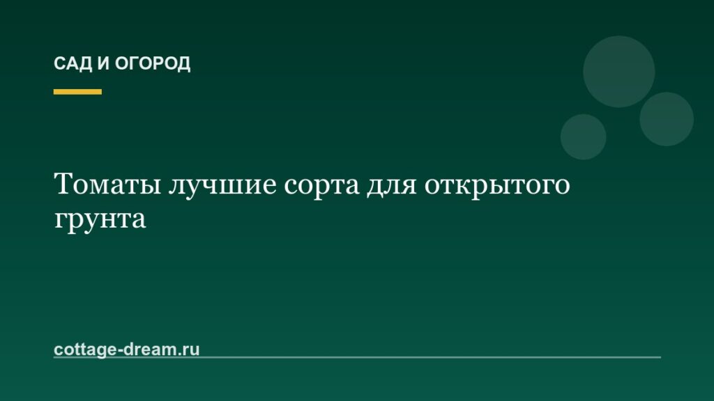 Томаты лучшие сорта для открытого грунта