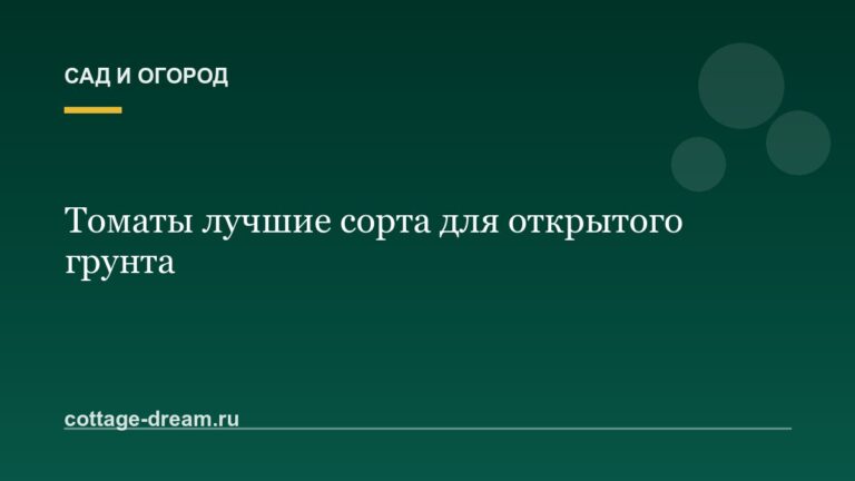 Томаты лучшие сорта для открытого грунта