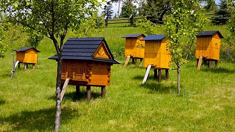 Закупка ульев