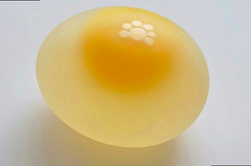 Почему у куриных яиц тонкая скорлупа